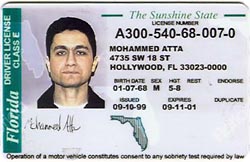 connecticut drivers license