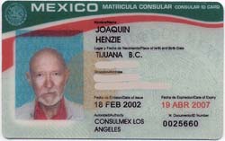 Matricula Consular Id Card Formato